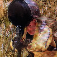 俺たちのゲーム実況