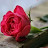 @gopalakrishnan12345
