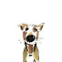 C4IZwFJl9B0-channel-avatar-왼수캘리