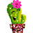 @Happy_Cactus_