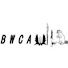_qo8o8tHM98-channel-avatar-BWCA Wild (BWCAwild.com)