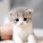 @yhkyhk8965