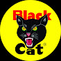 BlackCatFireworksUSA logo