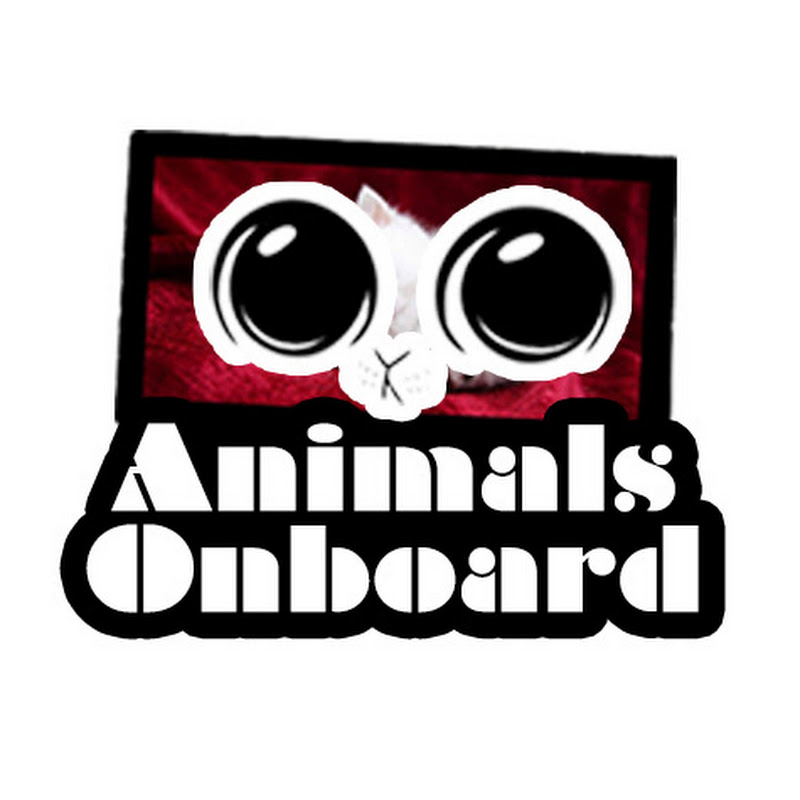 animalsonboard0