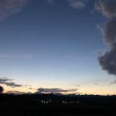もこ