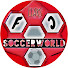 LIARS FC Soccerworld