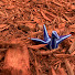 6xm6DJeXt_4-channel-avatar-Justforfun-kpop
