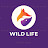 avatar of @wildlife6404