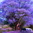 @hassanaltamimi9006