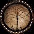 f9JqnmJrWdo-channel-avatar-vanPlaas