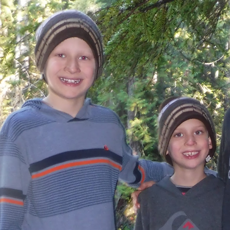 The Adventure Boys icon