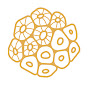 Maldives Coral Institute logo
