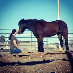 Thumbnail of related channel