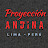 @proyeccionandina1582