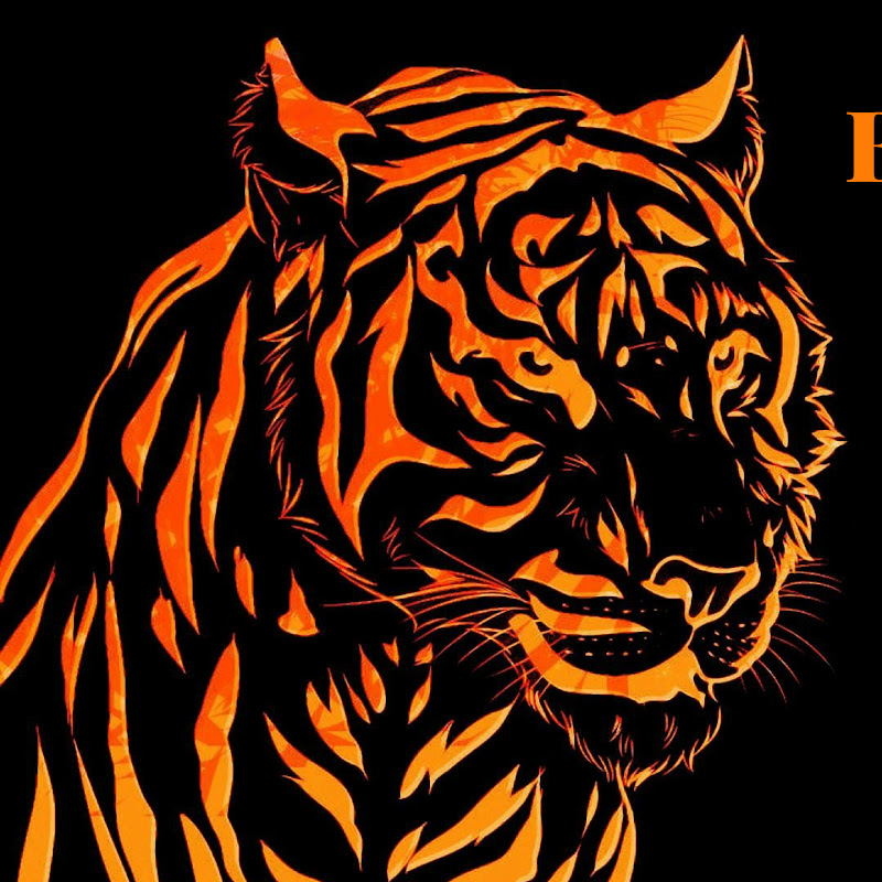 TheTiger Gaming icon