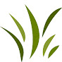 Low Carb - Community Avatar