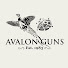 TIZ_dBfsiBA-channel-avatar-Avalon Guns