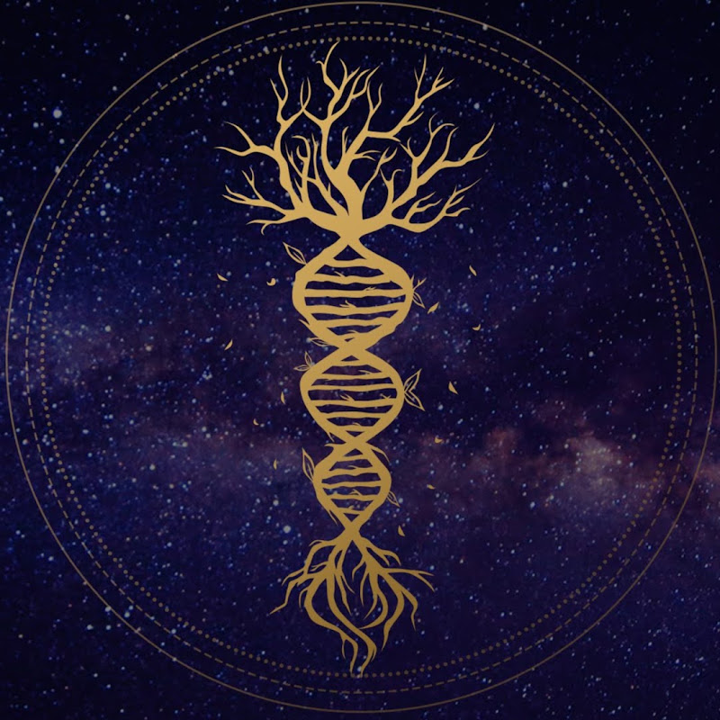 Sapien Medicine