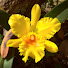 qVK9MAsxl44-channel-avatar-Flower Cottage