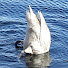 HhmmdMVDRhs-channel-avatar-Phantom.Zenity
