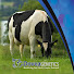 mmuAaG1gMwk-channel-avatar-Dovea Genetics