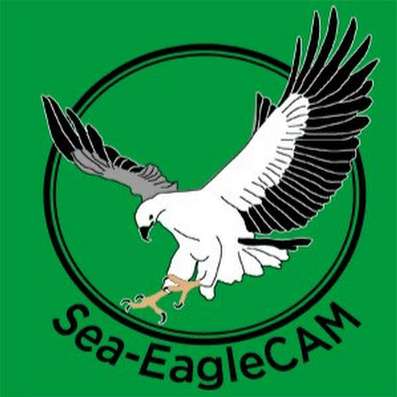 Sea-EagleCAM4 thumbnail