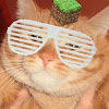 What could elrubiusOMG buy with $558.7 thousand?