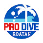 Pro Dive Roatan logo