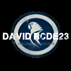 davidRCDE23