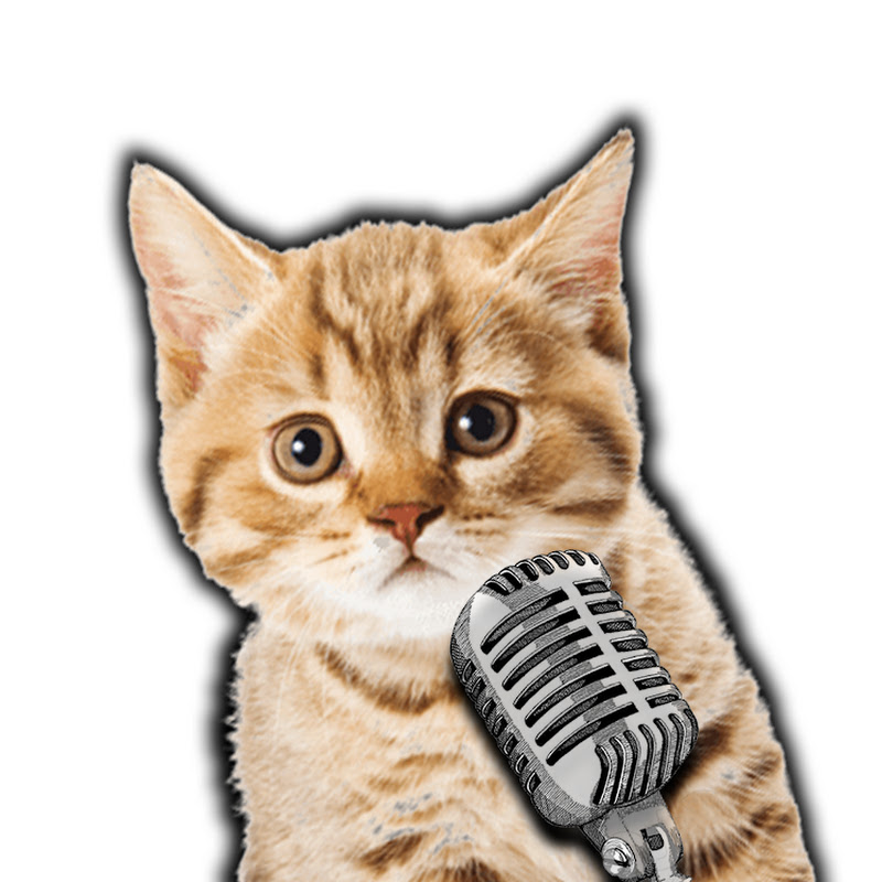 Konuşan Pisiler profil görseli