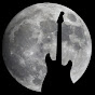 TCJguitars