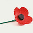 Kv0L15UvWOM-channel-avatar-Poppyscotland