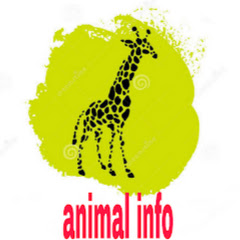 Animal village info Avatar