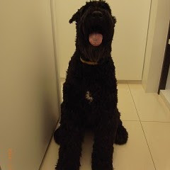 洪杰アイコン画像