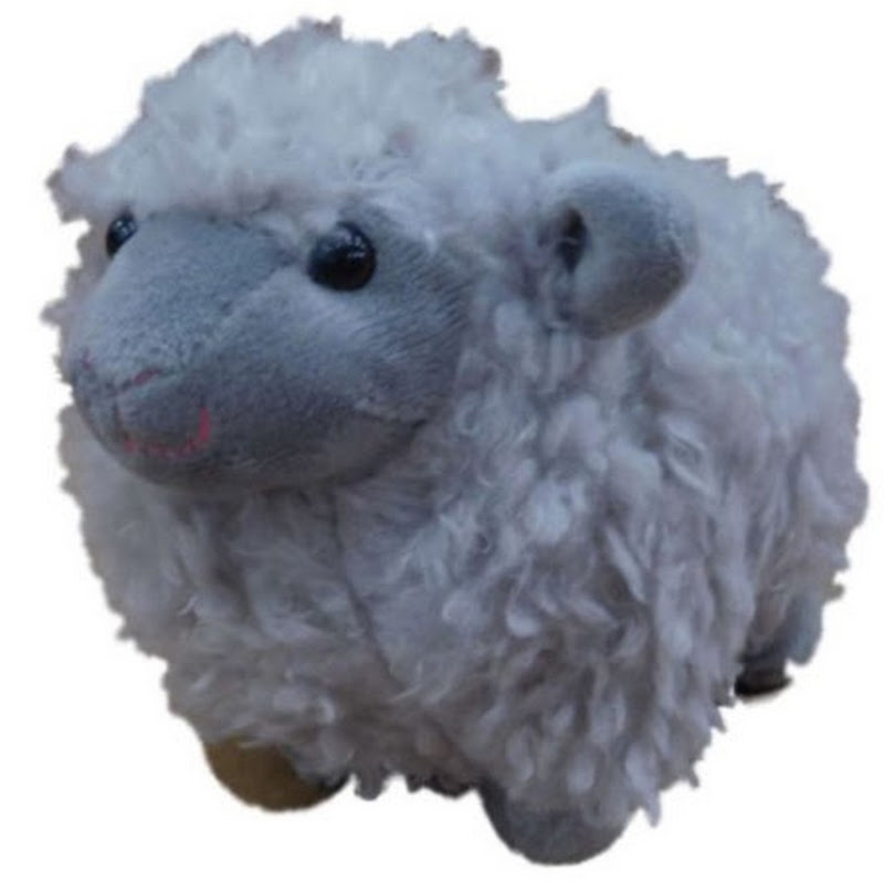 GraySheep1717
