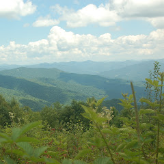 Upward Falling