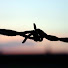 3HBNjjCdK8o-channel-avatar-Stowarzyszenie Auschwitz Memento