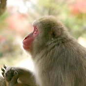 日本をもっと好きになる