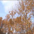 de841kGheiI-channel-avatar-morberoun