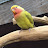 @christiaanwisse945's avatar