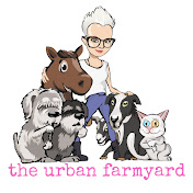 The Urban Farmyard