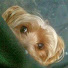 v6ChtmZJpmU-channel-avatar-angelairutledge