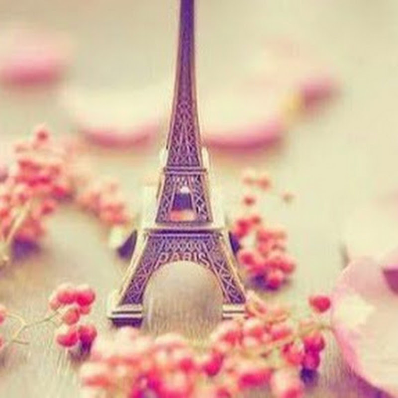 emy amr عالم حواء