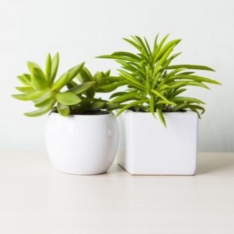 На земле инфо Logo