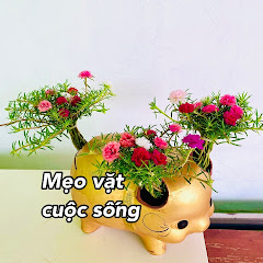 Mẹo vặt cuộc sống avatar