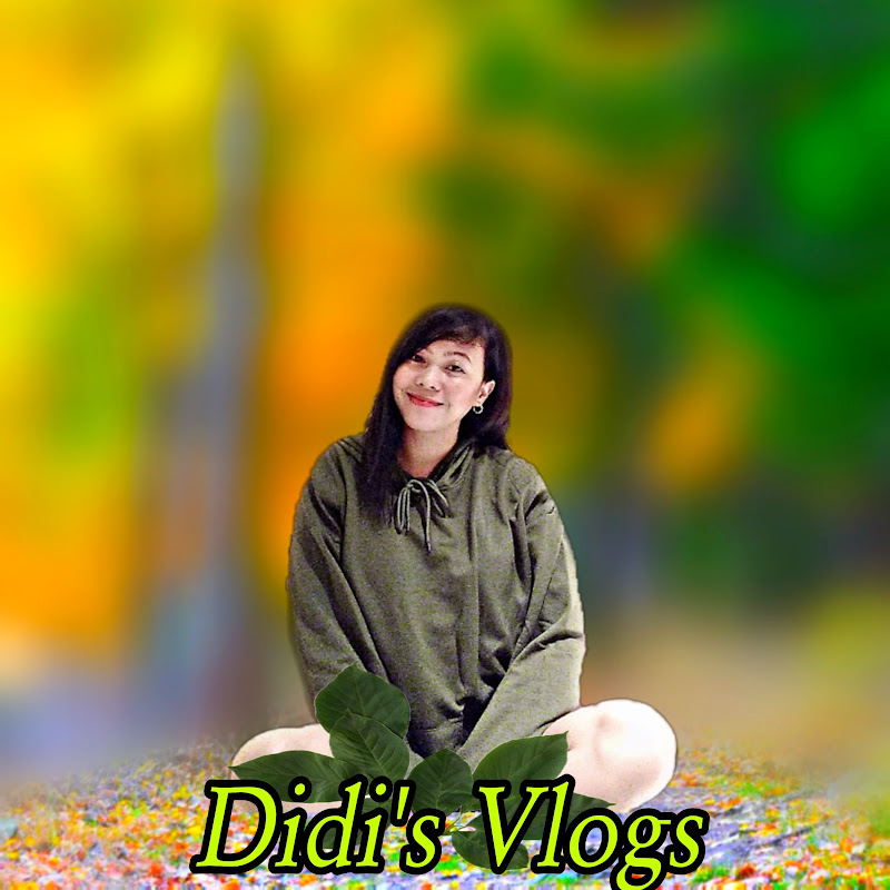 Didi's Vlogs
