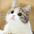 @흰둥이-b2m