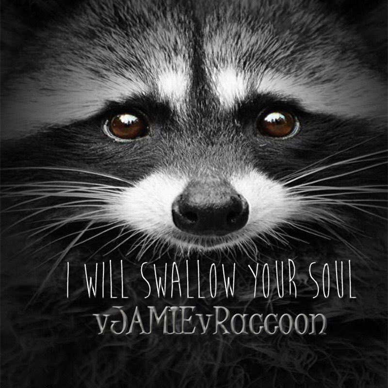 vJamiev Raccoon