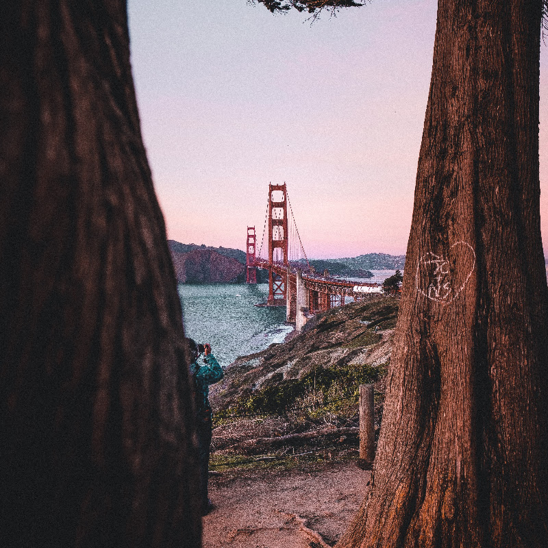 Your San Francisco