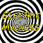 Electric Madness Official logo